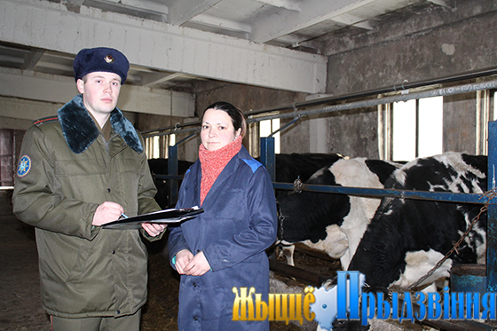 На снимке: Дмитрий Мамойко и Александра Пахоменко на ферме «Пукшино»