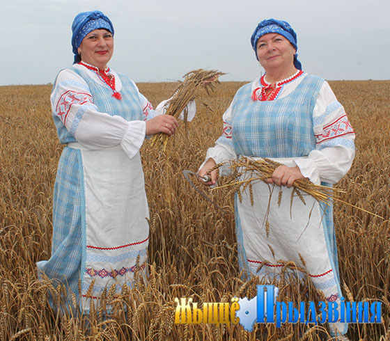 На снимке: жнейки жито жали да в снопок вязали