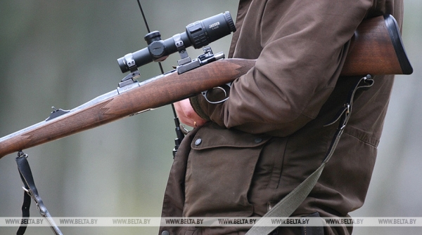 Уголовные дела за незаконную охоту возбудили в Брестской и Витебской областях