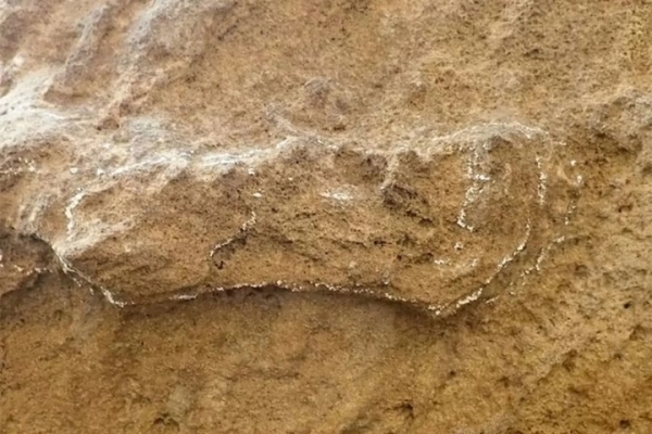 Найдены древнейшие следы человека. Их возраст впечатляет