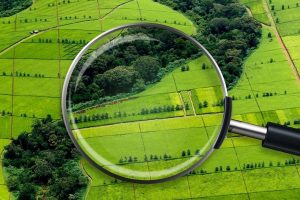 земельный участок