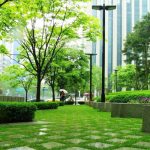 благоустройство жкх