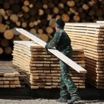 деревообрабатывающий завод древесина дерево