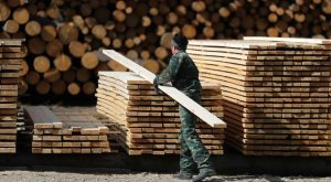 деревообрабатывающий завод древесина дерево