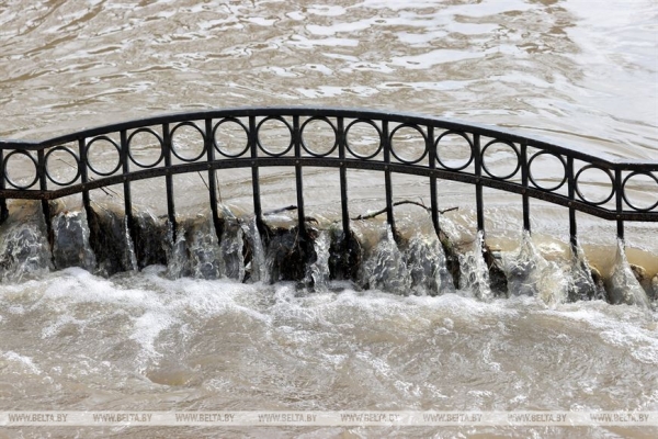 В Витебске из-за подъема уровня воды подтоплена набережная, в Городокском районе - дома