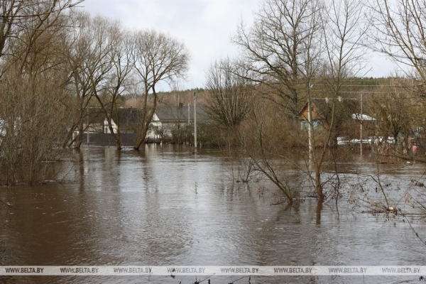 ФОТОФАКТ: Из-за подъема уровня воды в реке оказались подтоплены участки улиц в Городке