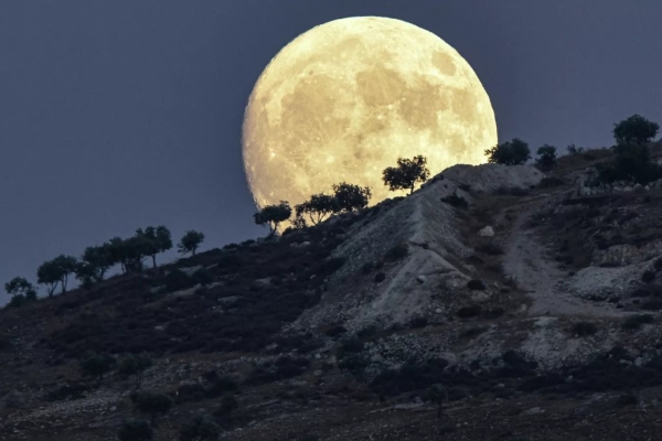 Ночью можно было увидеть осетровую луну. Как она выглядела