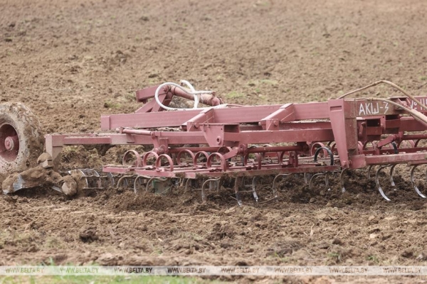 Аграрии Витебской области посеяли 13% яровых зерновых и зернобобовых культур