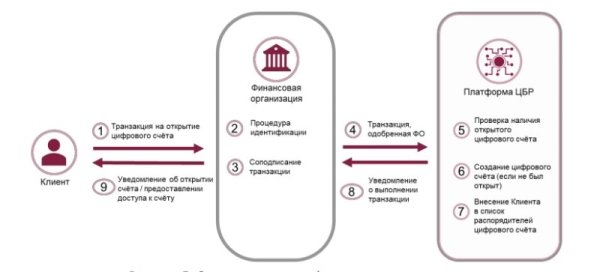 Цифровой белорусский рубль появится в 2026 году – что нужно знать гражданам