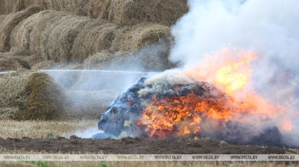 Пожар повредил 30 тонн соломы в Витебском районе