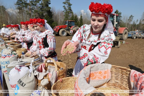 Хлеборобы Витебской области дали старт посевной