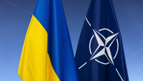 
												Парламент Польши поддержал вступление Украины в НАТО
											