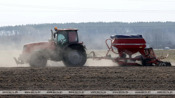 Под яровой сев в Витебской области накоплено 30% азотных удобрений