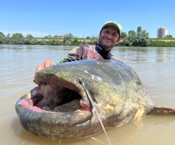 Рыбак в одиночку выловил гигантского сома — похоже, это новый мировой рекорд